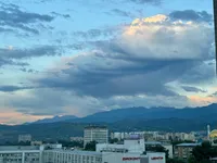 Алена Близнец
