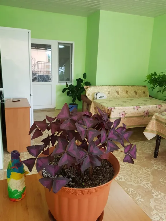 Квартира Комната — Судак