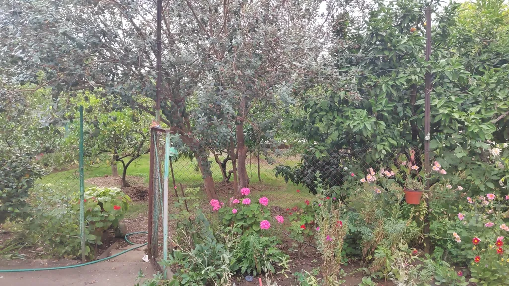 2х местный 1 этаж