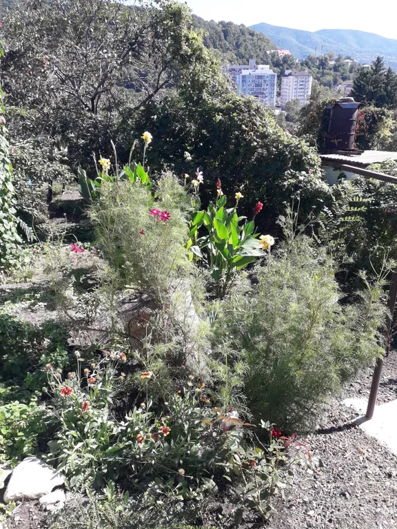 Целый дом с садом и двориком