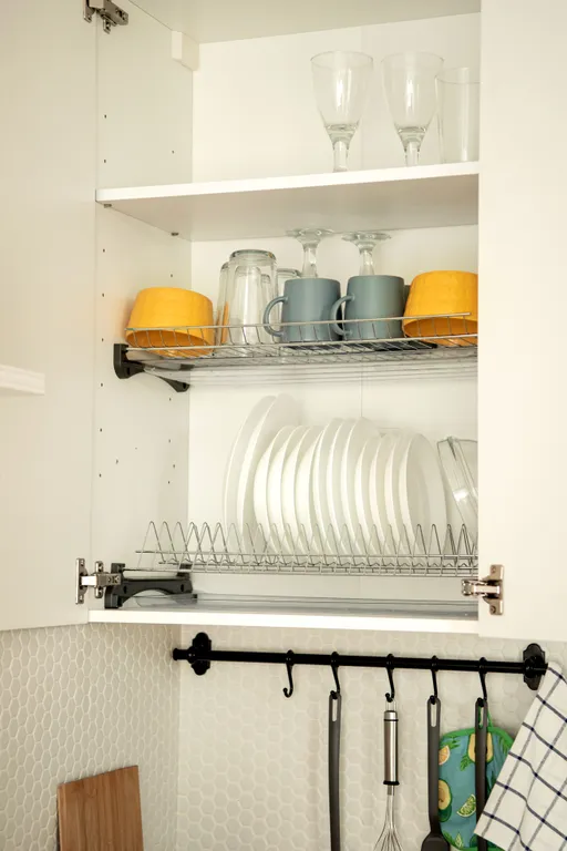 Студия балтийские сосны