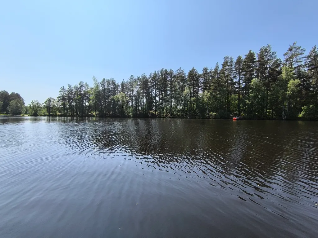 Коттедж Новый гостевой дом семь сосен на опушке леса — Плодовое