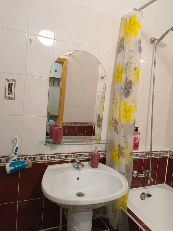 Квартира 1-комнатная Квартира — Минск