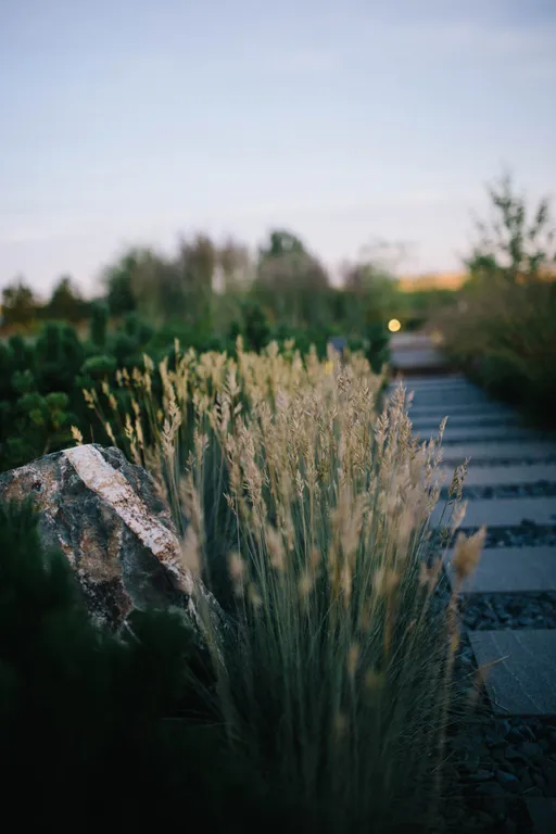 Коттедж Коттедж Recovery home — Прилесный