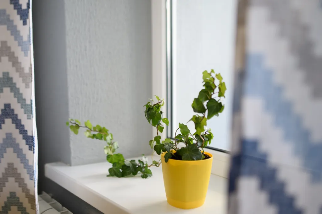 Мятная 2х комнатная квартира