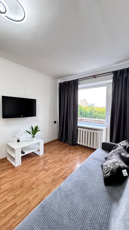 Однокомнатная квартира в центре города