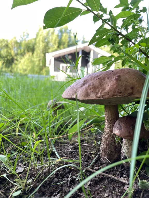 Коттедж на горнолыжном курорте