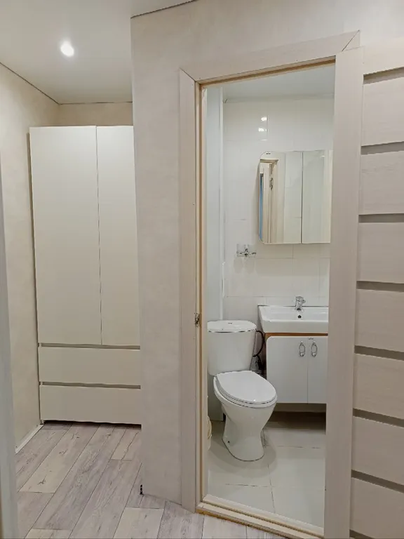 Уютная однушка на Савушкина