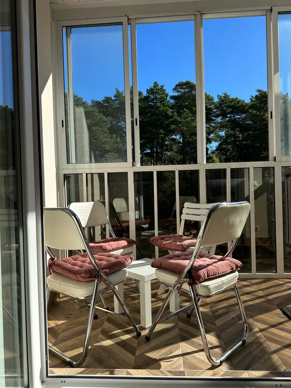 Квартира Уютная студия с видом на лес — аренда посуточно в Светлогорск