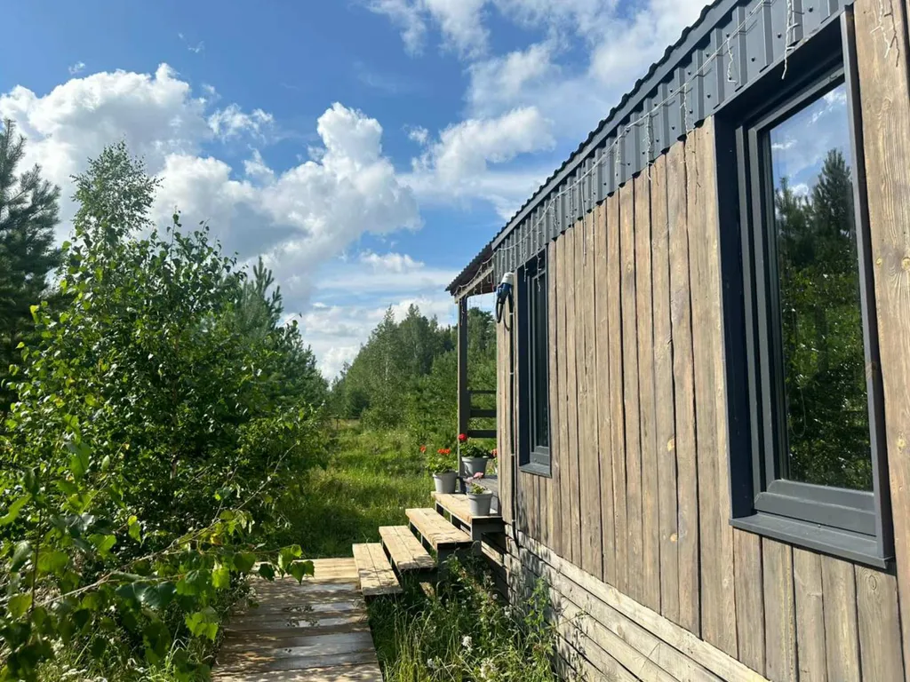 Темный домик на опушке леса