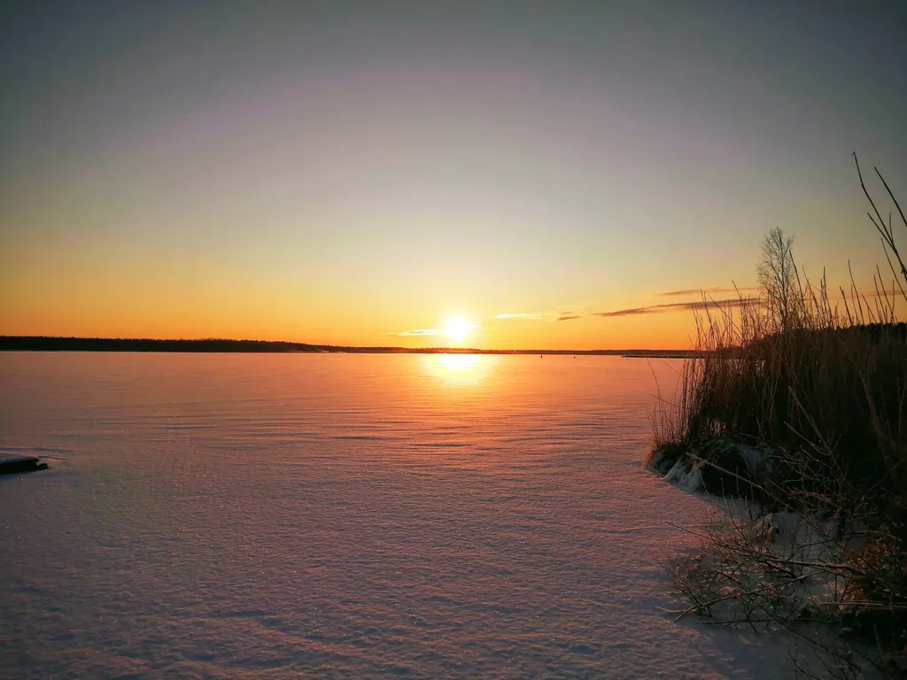 Дом Викинга