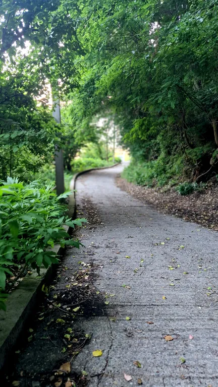 Комната в доме в лесу у моря