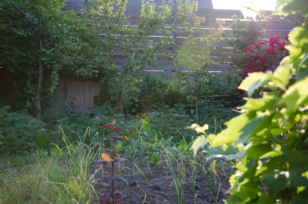 Уютная квартира с собственным садом