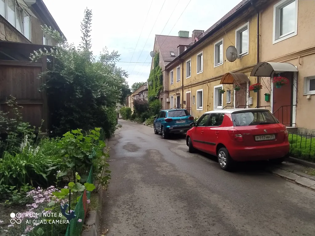 Прусский Кот  (в историческом районе Ratshof на границе с Amalienau)