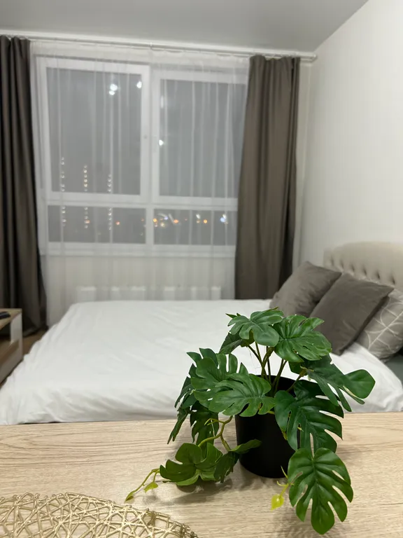 Уютная квартира студия Новые Ватутинки