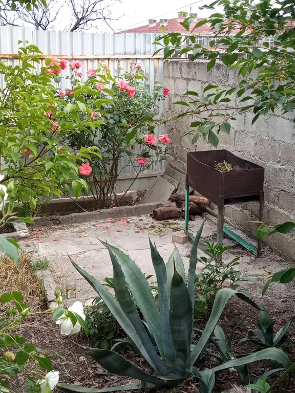 Двухкомнатная квартира в частном секторе у моря Курорт Ялта-Мисх