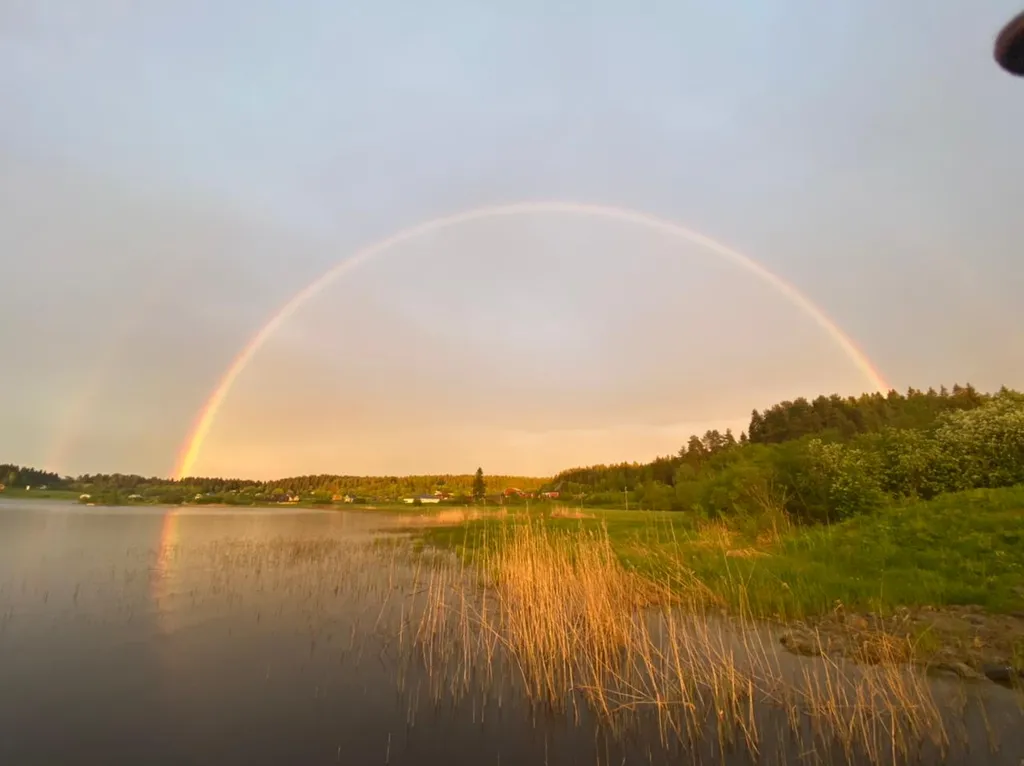Черника в Сонном заливе