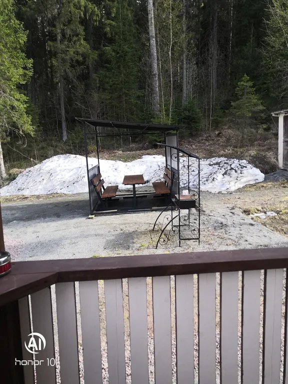 Апартаменты с видом на лес