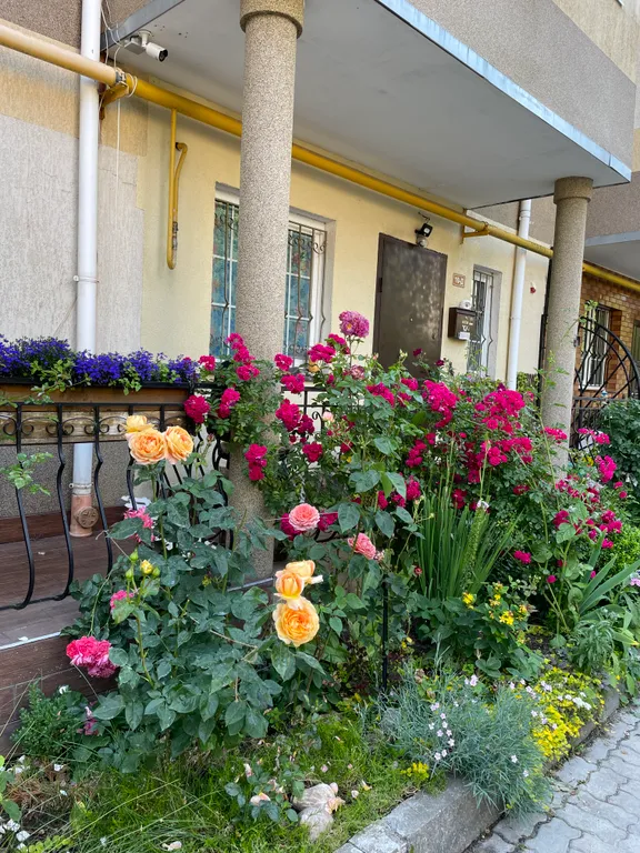 Морской бриз