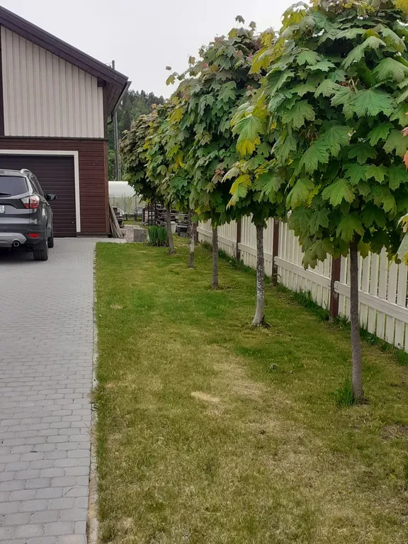 2-комнатный Дом