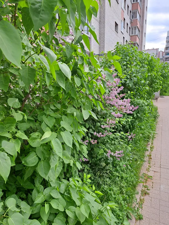 Уютная квартира для небольшой семьи