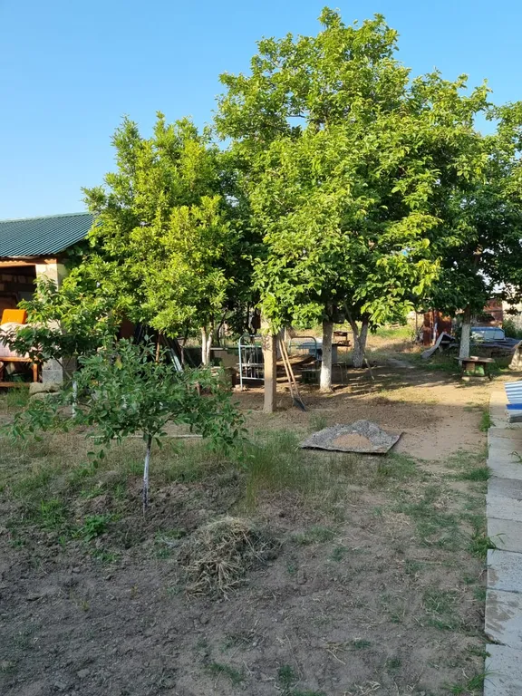 Коттедж Уютный Дом фруктовый Сад от городской суеты не далеко от Моря. — Дербент