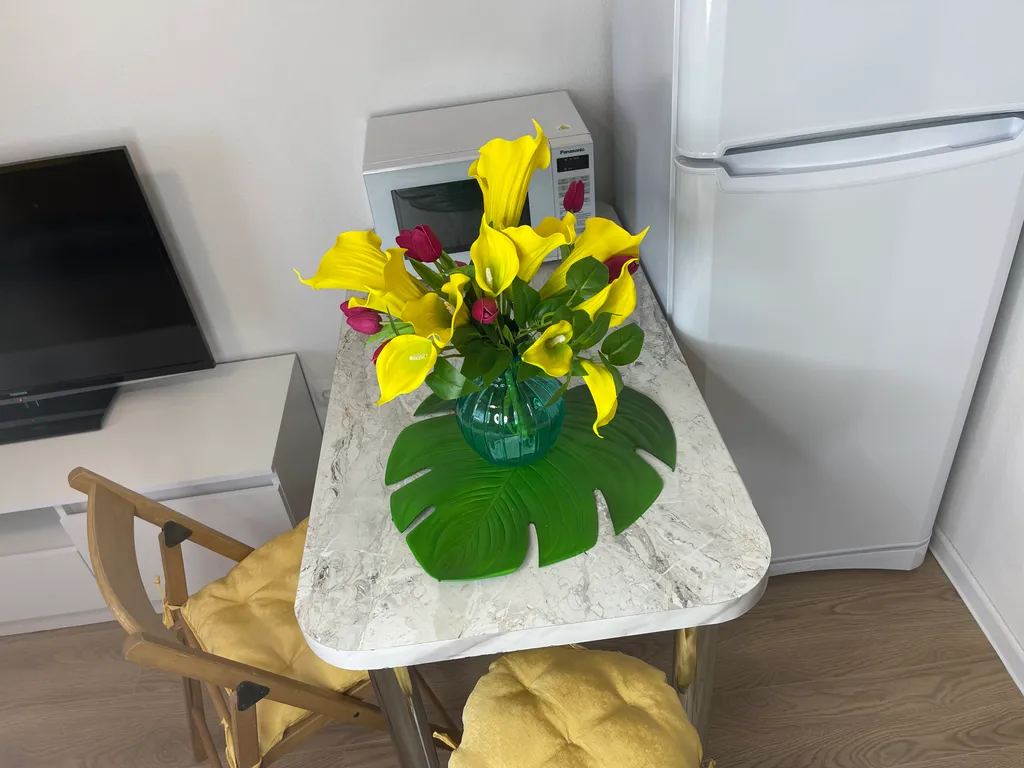 Квартира студия напротив клиники Онкоцентр