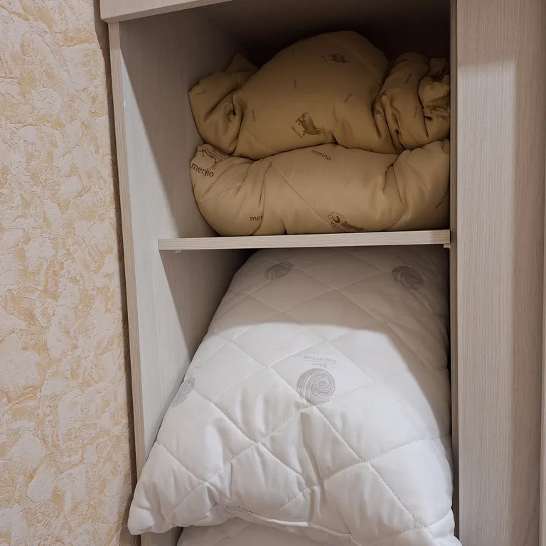 Квартира Семейная евродвушка у аэропорта Толмачево — Обь