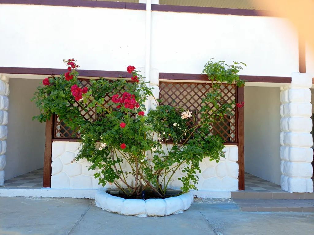 Двухкомнатный номер с отдельным входом и верандой 3 и 4