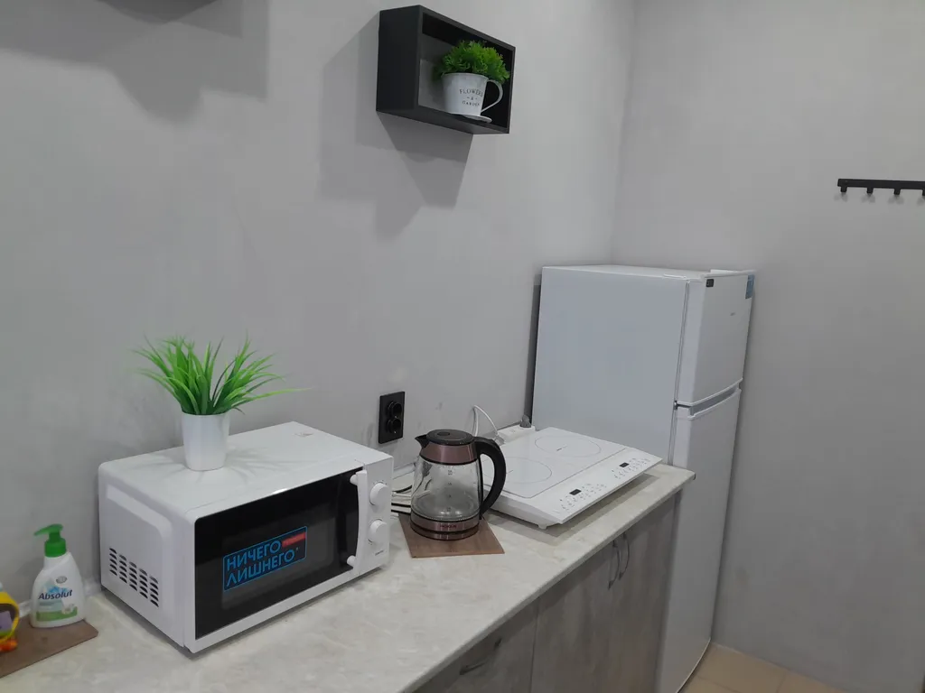 Большая однокомнатная квартира