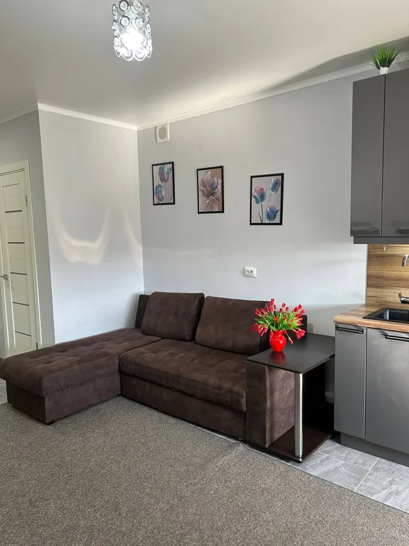 Уютная Евродвушка в центре