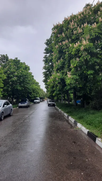 Квартира Квартира В центре 1-ком. кв.(600м-пляжи)с Wi-Hi,CмартTV. Заселение 24час. — Геленджик