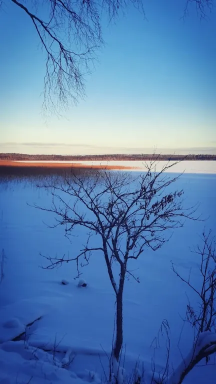Дом Ярвиранта на берегу озера