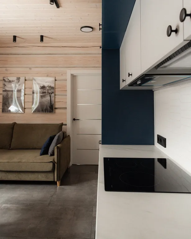 Дом дуплекс с шикарным интерьером