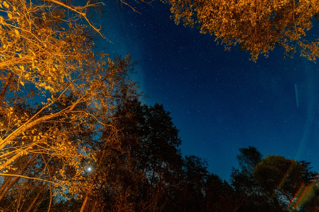 Дом Барнхаус