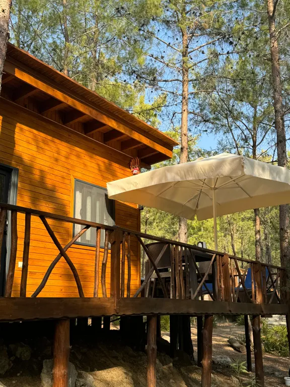 Просторное эко бунгало в сосновом лесу на побережье Турции