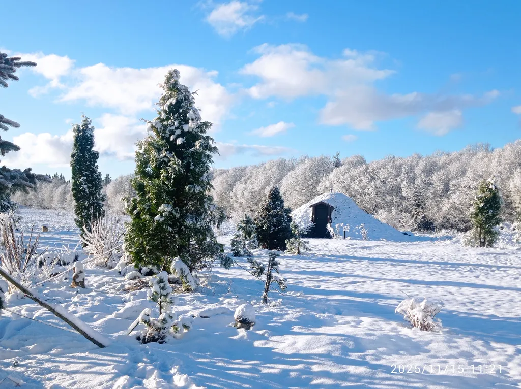 Апартаменты с камином