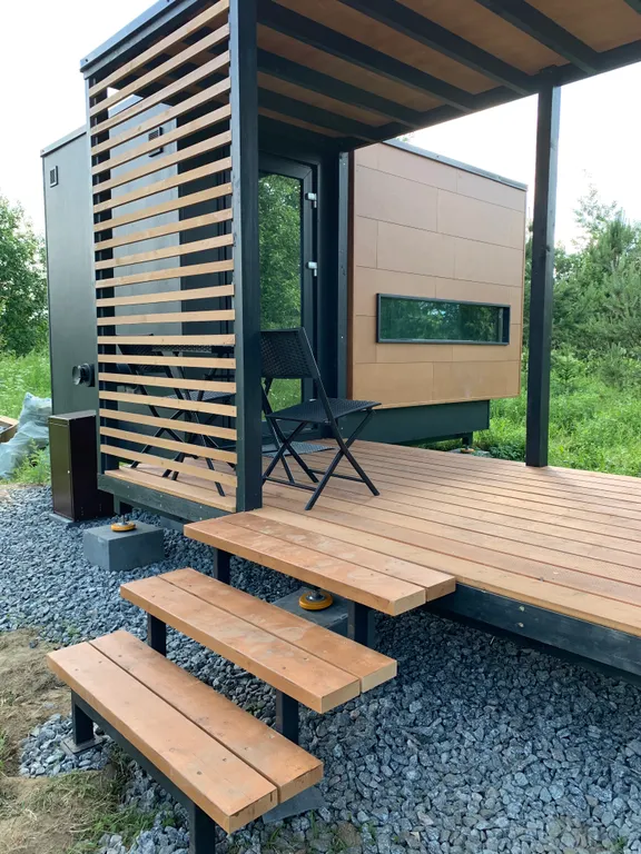 Папоротник