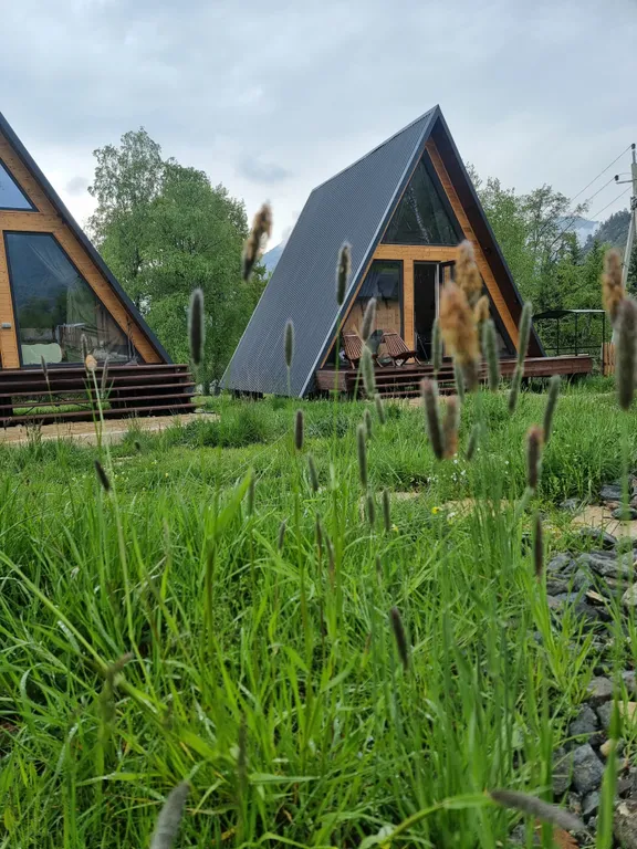 Живописный уголок в лесу вдали от городской суеты