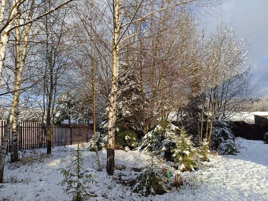 Коттедж Дом в аренду, горнолыжка Сорочаны — Капорки