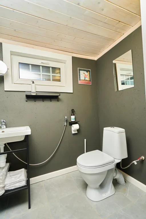 Талони Коттедж возле Коробицыно