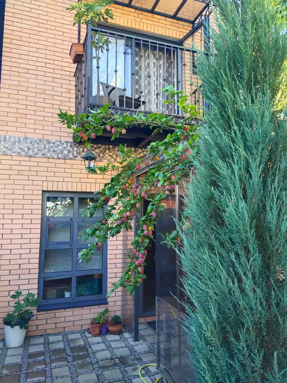 Дача на море