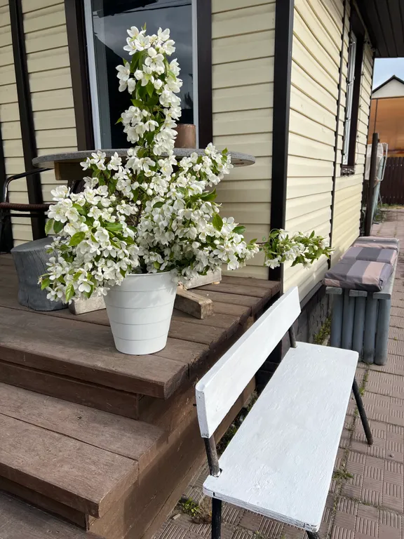 Дом-кафе Прованс на 40 человек