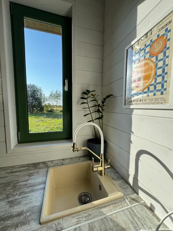 Дом баня с купелью у леса