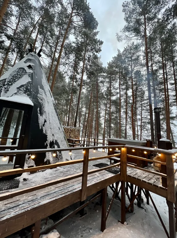 Уютные дома на берегу озера в сосновом лесу