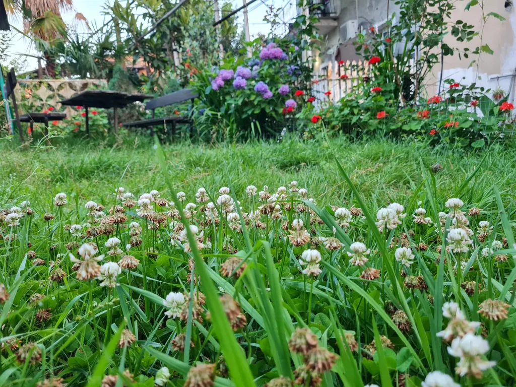 Апартаменты Елизаветы II у Мокко пляжа