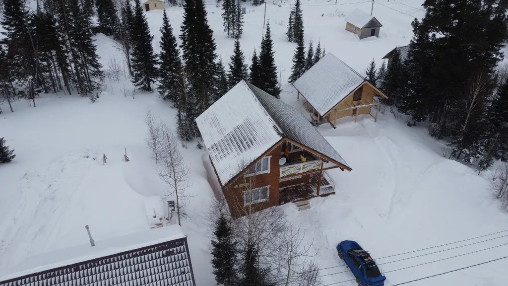 Хатка бобра