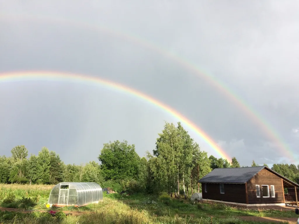 Загородный дом в лесу на Финском заливе