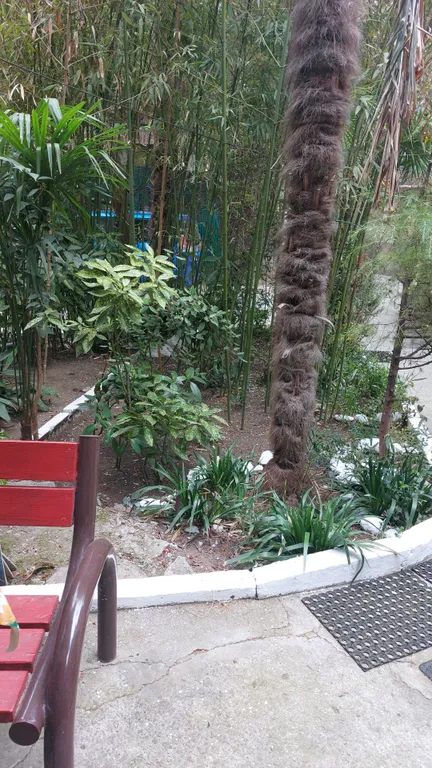 Уютная квартира в центре Ялты