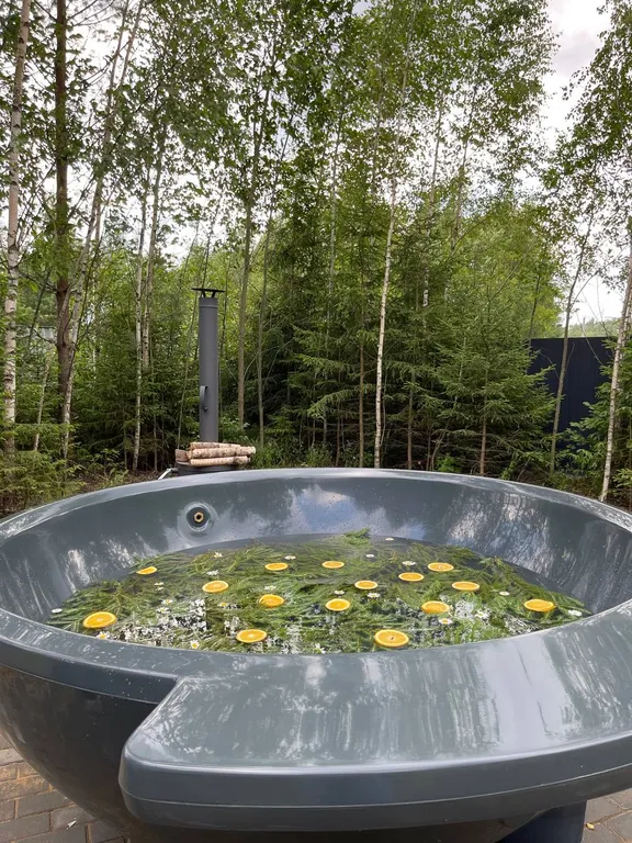 Коттедж Дом у леса для душевного отдыха — Александров